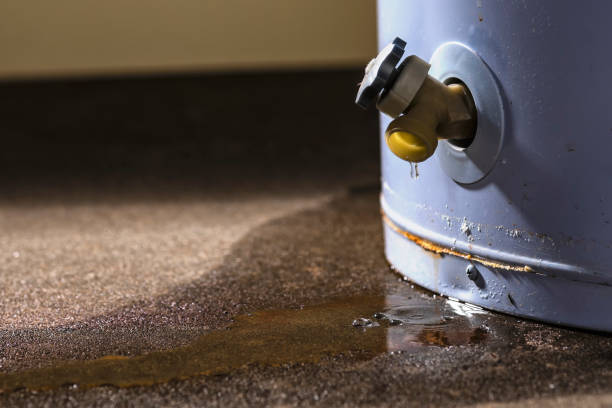 Best Mold removal after water damage  in Ko Olina, HI