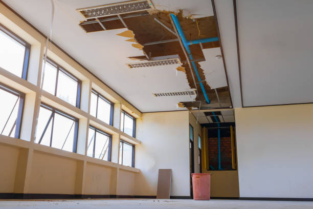 Best Ceiling water damage repair  in Ko Olina, HI