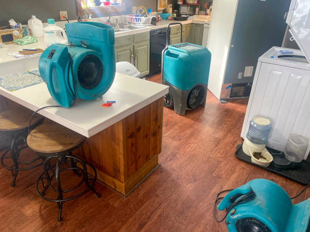  Ko Olina, HI Water damage restoration Pros