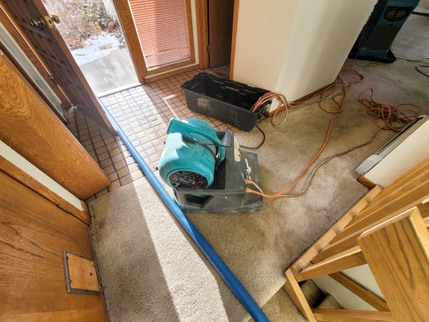 Best Water damage contractors near me  in Ko Olina, HI