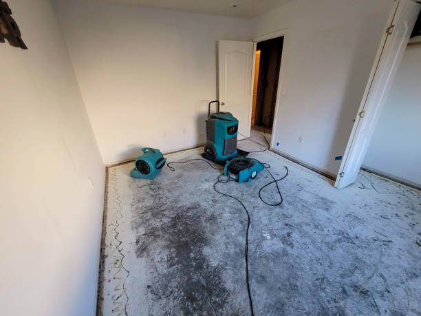 Best 24-hour water damage restoration  in Ko Olina, HI