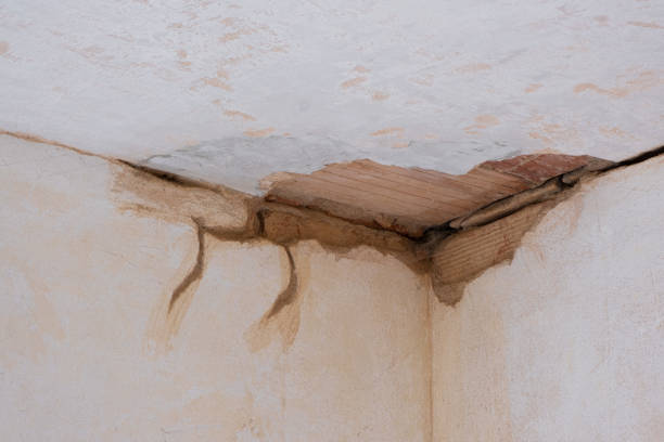 Best Basement water damage restoration  in Ko Olina, HI