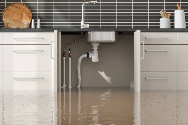 Best Flood restoration services  in Ko Olina, HI