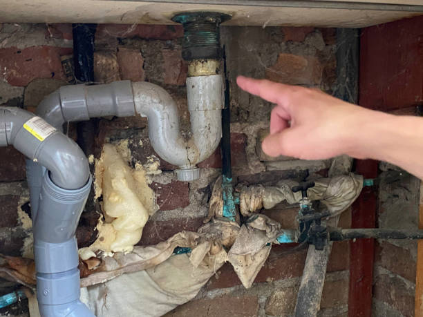 Best Water damage restoration services  in Ko Olina, HI